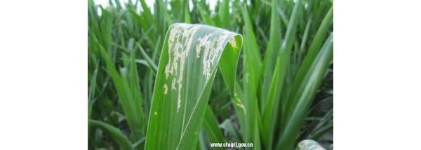  ����ݺ� forum