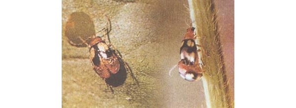  ����ݺ� forum