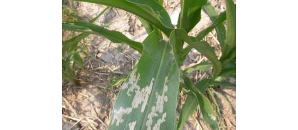  ����ݺ� forum