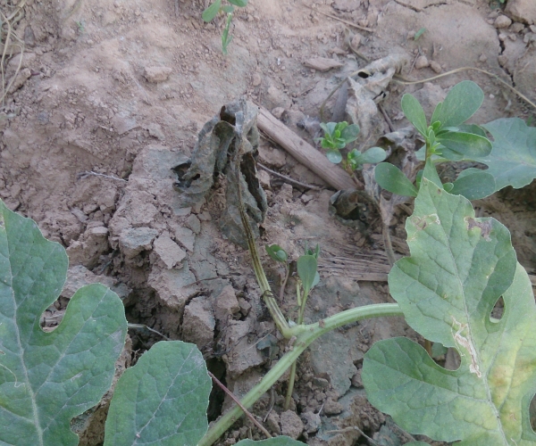  ߲ר 121504t5uob9btpxb4y8xy