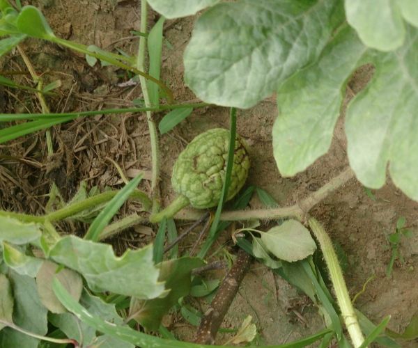  �߲�ר�� 1215415xf7fkkzgsh87gmm