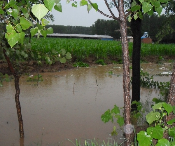  ��ũ��ע forum