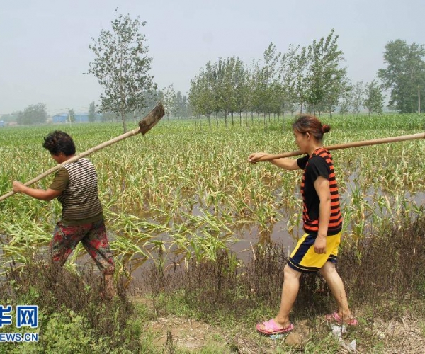  ��ũ��ע forum