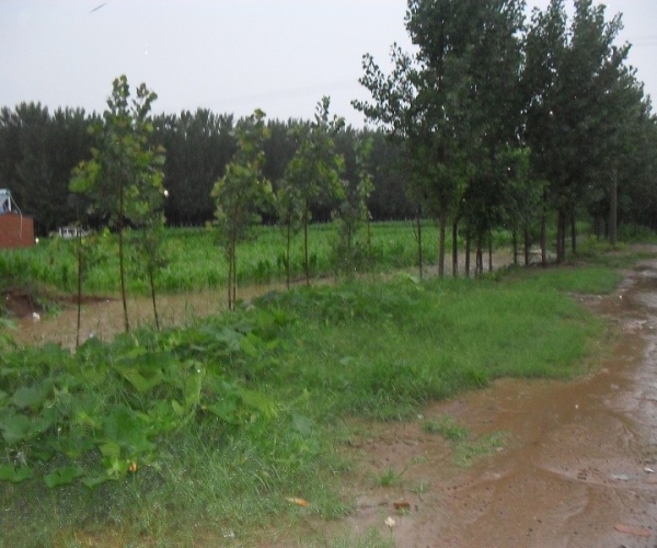  ��ũ��ע forum