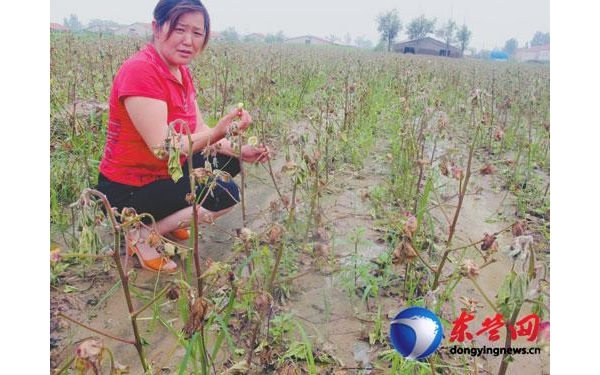  ��ũ��ע forum