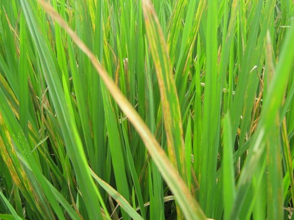  ˮ��ר�� forum