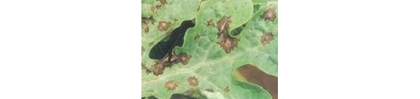  ����ݺ� forum