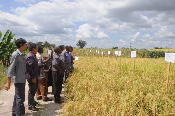  ��ũ��ע forum