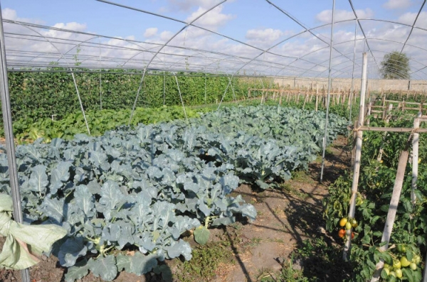  ��ũ��ע forum