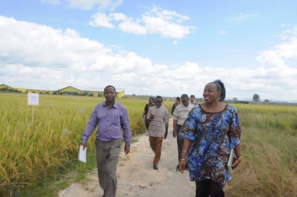  ��ũ��ע forum