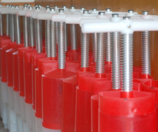  ũ����Ϣ forum