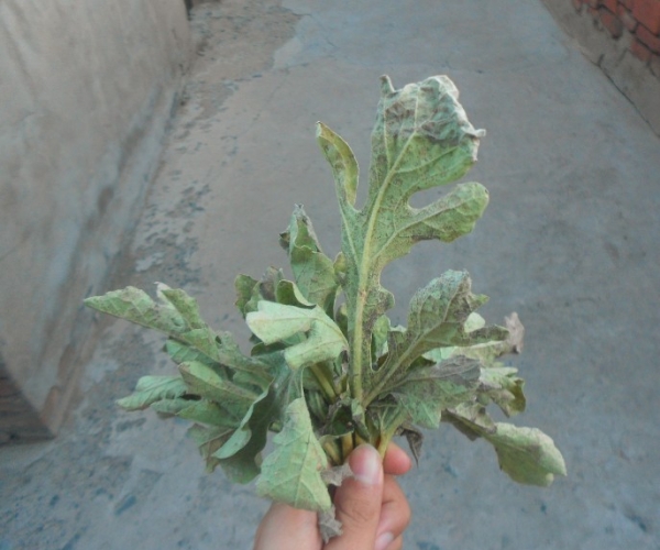  �߲�ר�� forum