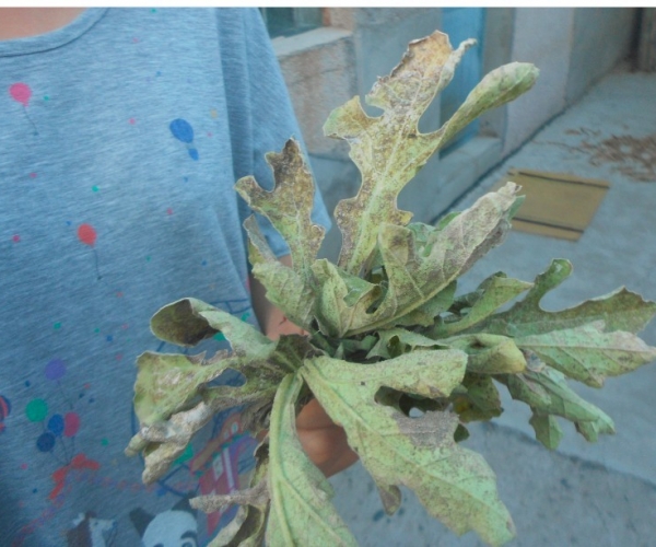  �߲�ר�� forum