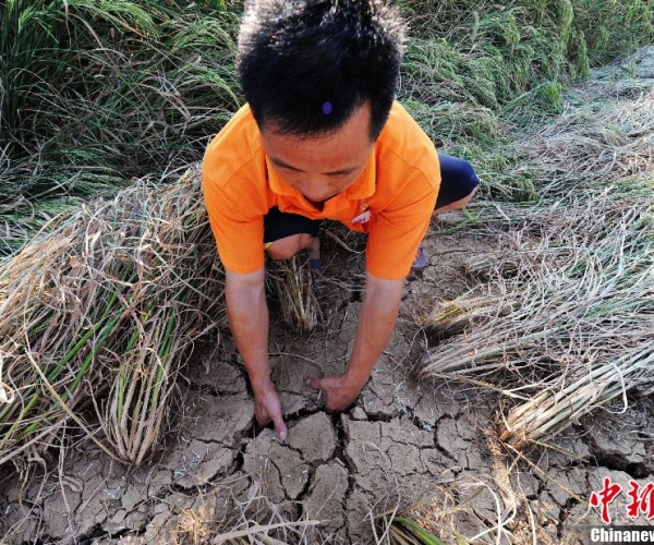  ��ũ��ע forum