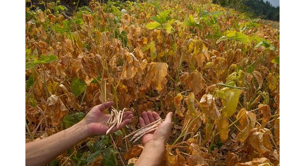  ��ũ��ע forum