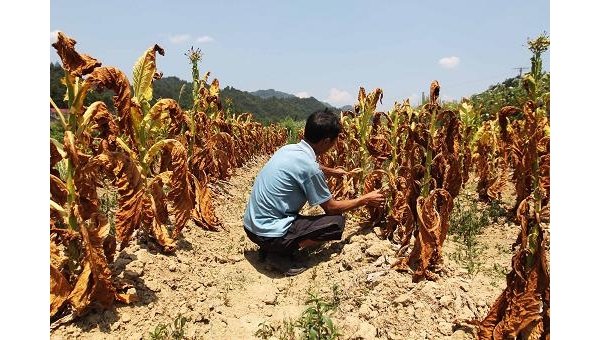  ��ũ��ע forum