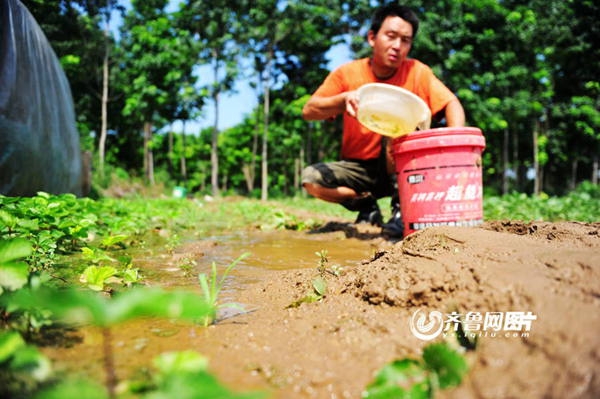  ��ũ��ע forum