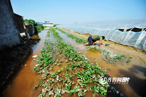  ��ũ��ע forum