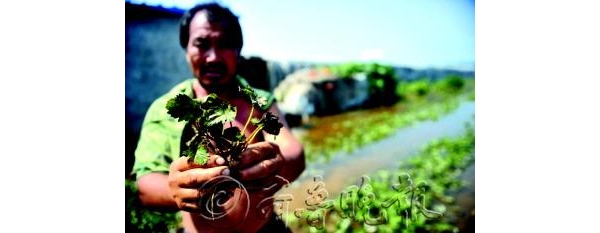  ��ũ��ע forum