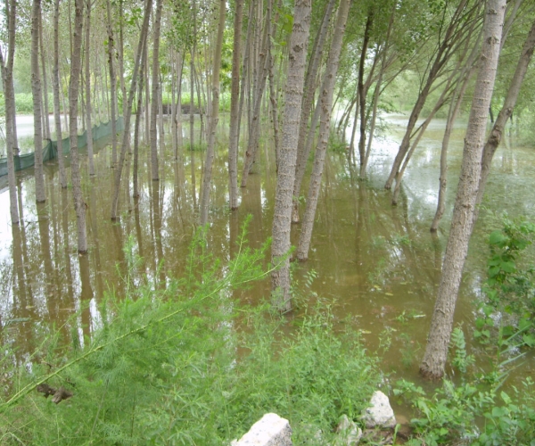  ��ũ��ע forum