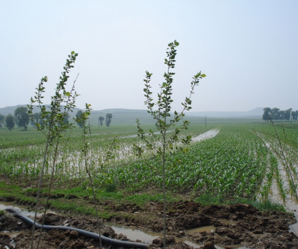  ��ũ��ע forum