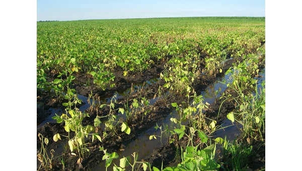  ��ũ��ע forum