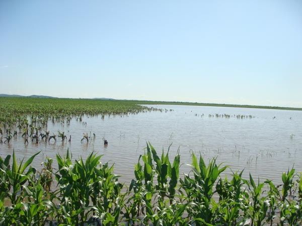  ��ũ��ע forum