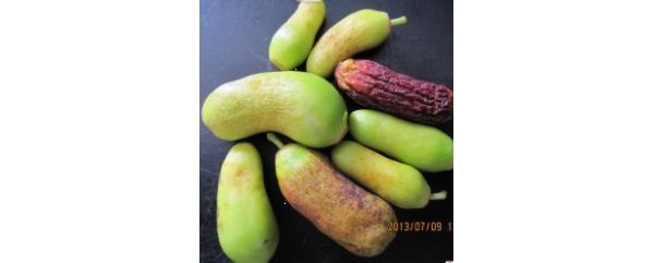  ˮ��ר�� forum