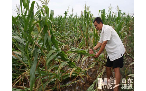  ��ũ��ע forum