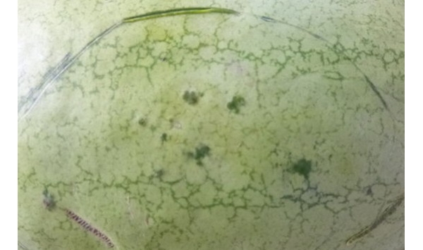  ˮ��ר�� forum