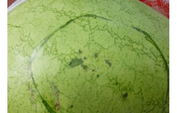  ˮ��ר�� forum