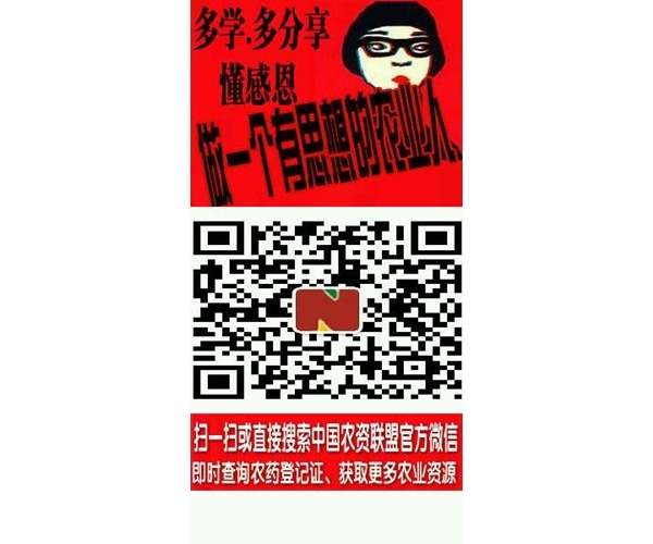  �ٷ����� forum