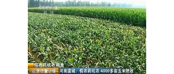  ũ���ع� forum