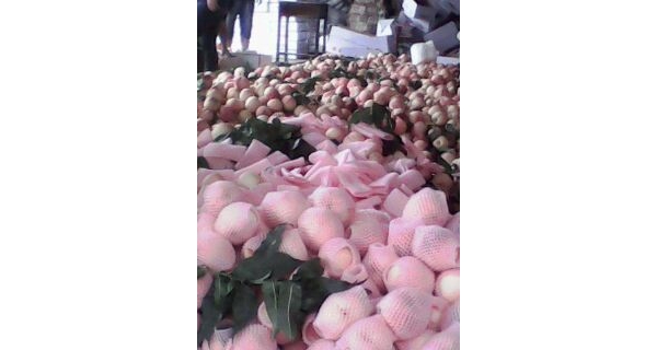  ũ����Ϣ forum