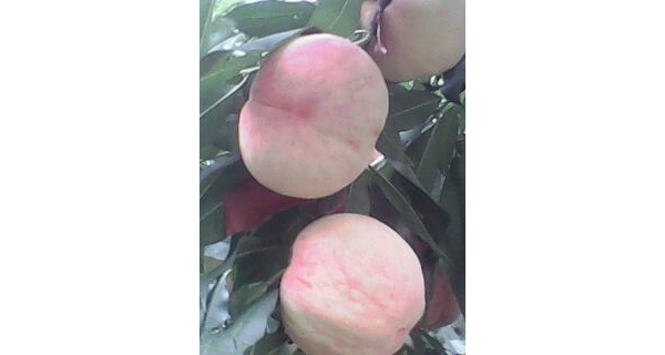  ũ����Ϣ forum