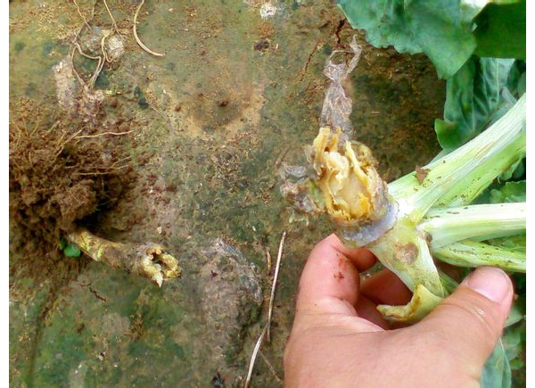  �߲�ר�� forum