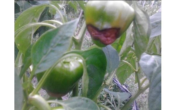  �߲�ר�� forum