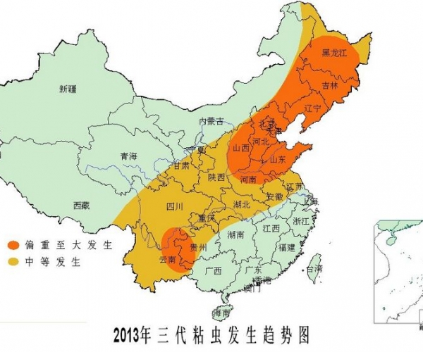  ����ݺ� forum