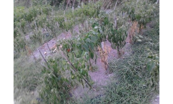  �߲�ר�� forum