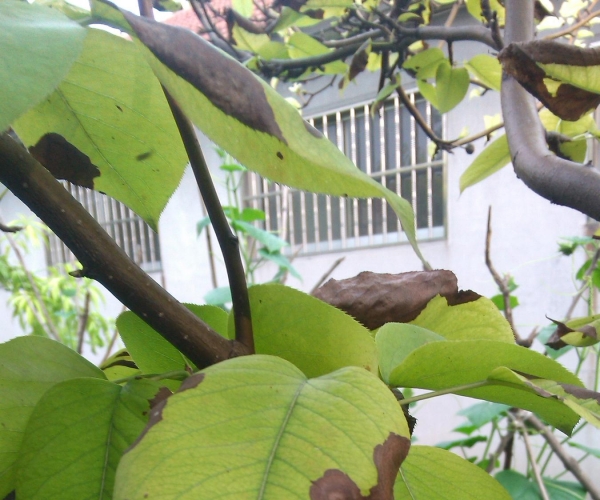  ˮ��ר�� 160229hf41dnm5d00d0cs1