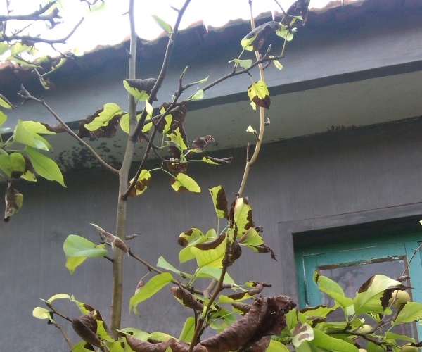  ˮ��ר�� 160239gobpgby4thpoheup