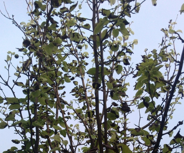  ˮר 1602415krxtysa4xa8rt5c