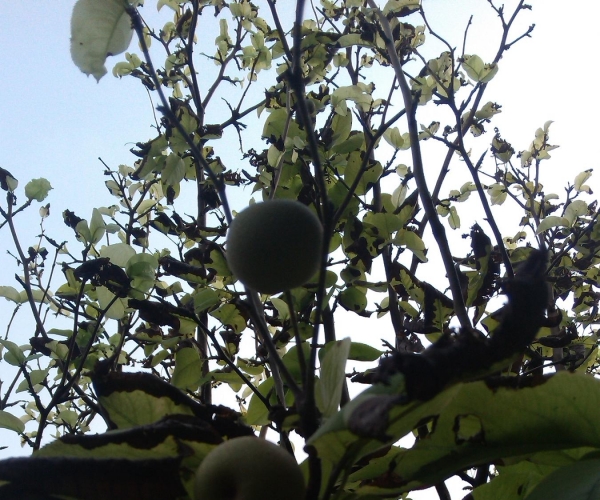  ˮ��ר�� 160243gjdbomzqbdbiuutd