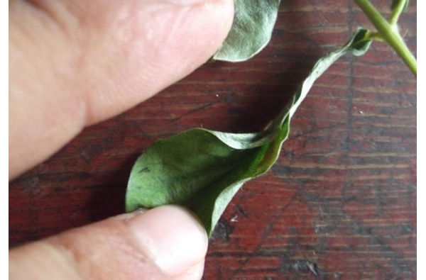  ˮ��ר�� forum