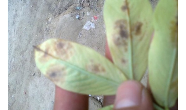  ˮ��ר�� forum