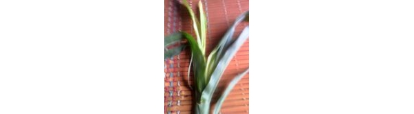  ����ר�� forum