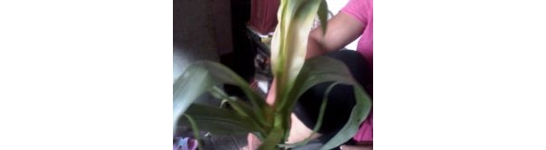  ����ר�� forum