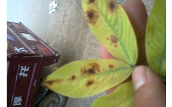  ˮ��ר�� forum