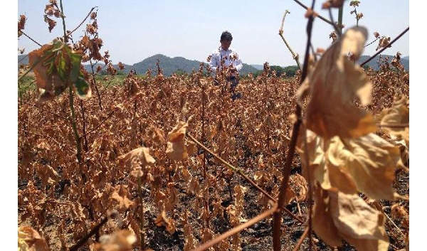  ��ũ��ע forum