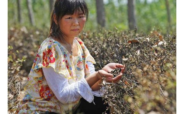  ��ũ��ע forum